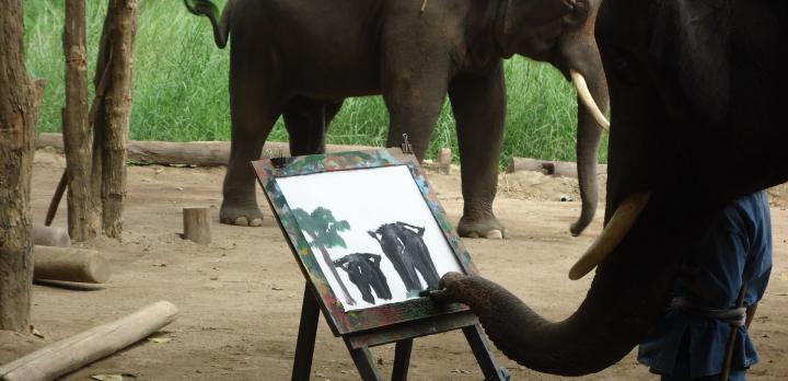 Voyage sur-mesure, La Thaïlande en famille