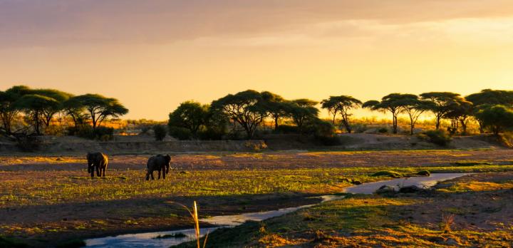 Voyage sur-mesure, La Tanzanie du Sud en français et séjour à Zanzibar