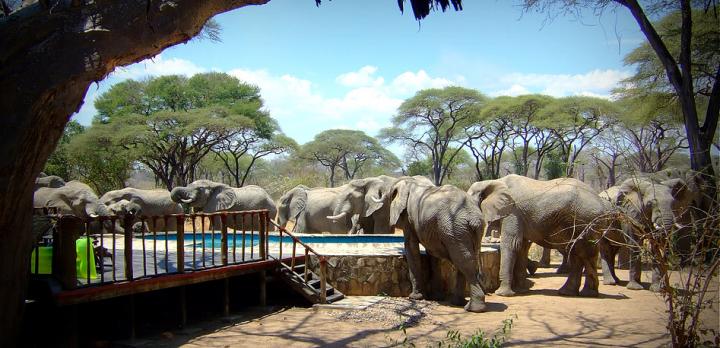 Voyage sur-mesure, La Tanzanie du Sud en français et séjour à Zanzibar