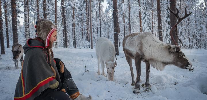 Voyage sur-mesure, Suède en Hiver :  A la rencontre du Peuple Sami et  des Aurores Boréales