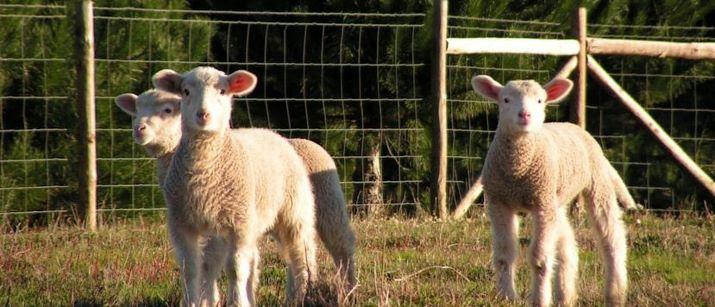 Voyage sur-mesure, Séjour rural sur la Côte Vicentina