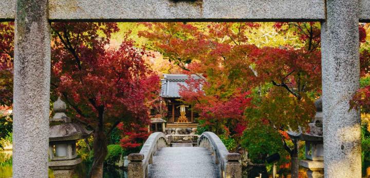 Voyage sur-mesure, Voyage au Japon : De Tokyo à Kyoto