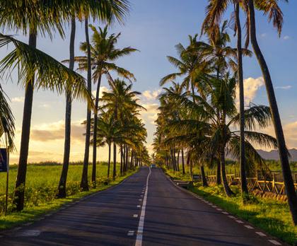 Voyage sur-mesure, L'Ile Maurice en liberté