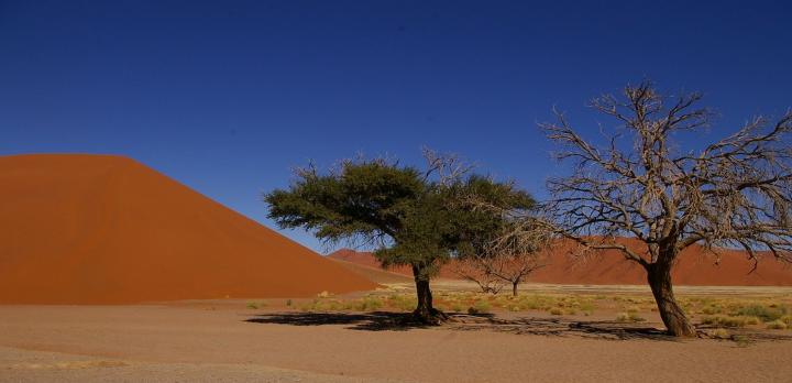 Voyage sur-mesure, Voyage d'exception à 4 avec votre guide francophone