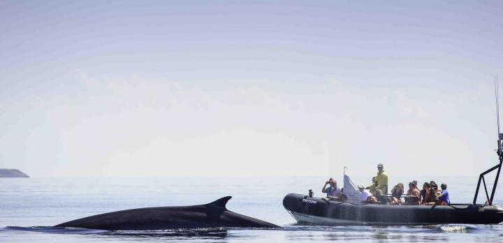 Voyage sur-mesure, Le meilleur du Québec en autotour