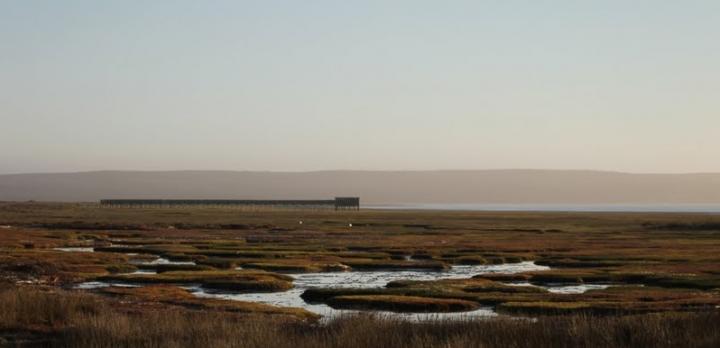 Voyage sur-mesure, L'Afrique du Sud hors sentiers battus, du Namaqualand au Kgalagadi