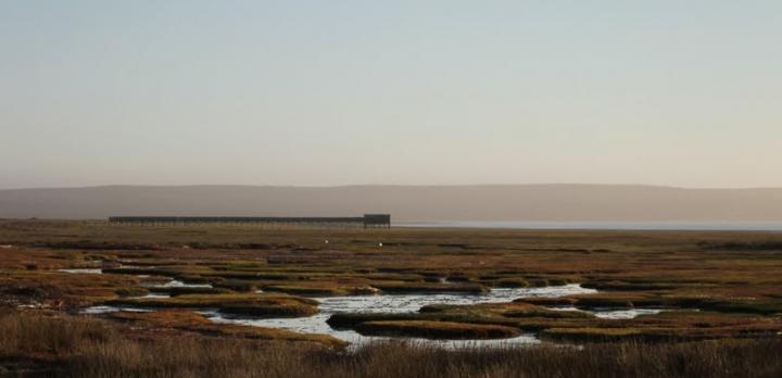 Voyage sur-mesure, L'Afrique du Sud hors sentiers battus : circuit du Namaqualand au Kgalagadi