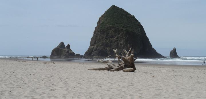 Voyage sur-mesure, Découverte de l'Oregon