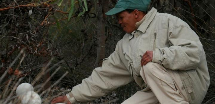 Voyage sur-mesure, Sur les terres du peuple San et dans le parc de West Coast