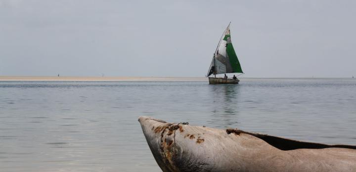 Voyage sur-mesure, Voyage insolite : Nature sauvage d'Afrique du Sud et plages du Mozambique