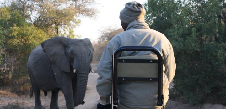 Voyage sur-mesure, Voyage insolite : Nature sauvage d'Afrique du Sud et plages du Mozambique