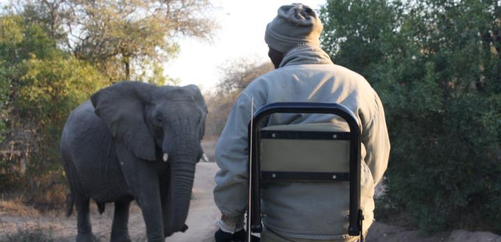 Voyage sur-mesure, Voyage insolite : Nature sauvage d'Afrique du Sud et plages du Mozambique