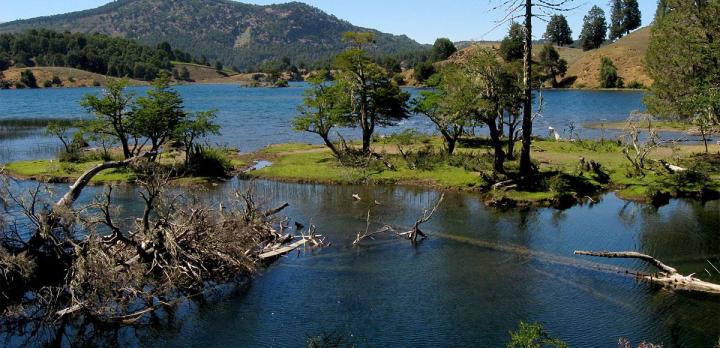 Voyage sur-mesure, Gîte à la ferme chez une famille Mapuche