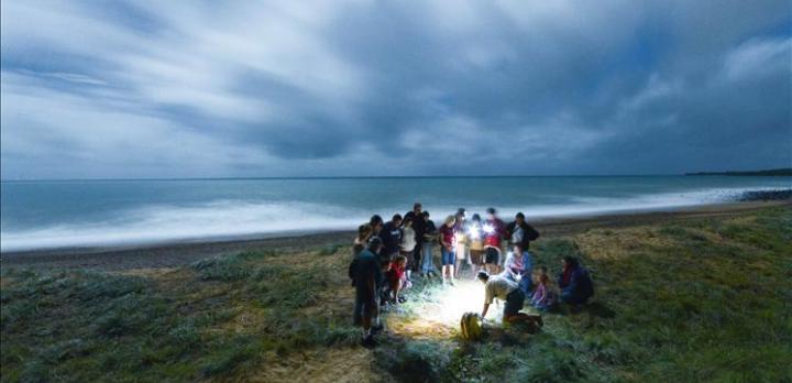 Voyage sur-mesure, La ponte des tortues dans le Queensland