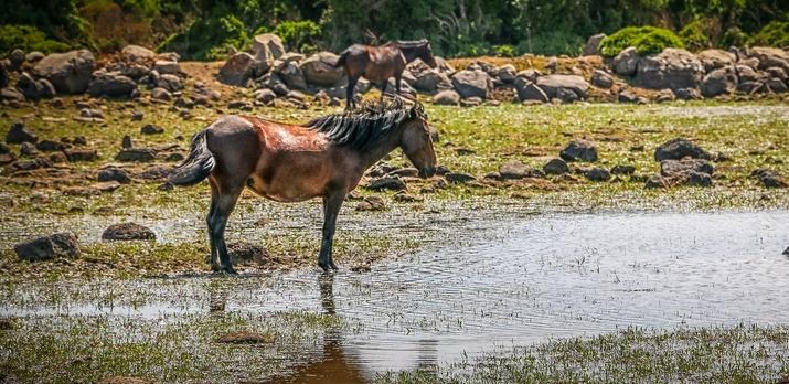 Voyage sur-mesure, La Sardaigne en famille en 4 étapes !