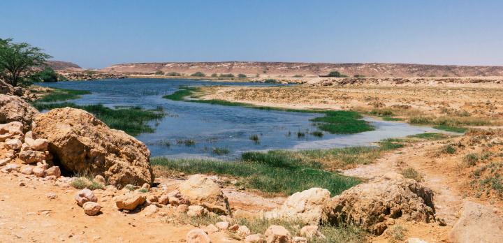 Voyage sur-mesure, Sur la route de l'Encens de Mascate à Salalah