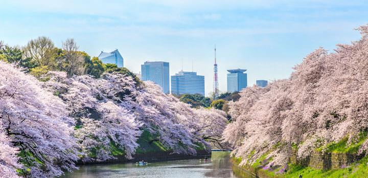 Voyage sur-mesure, Voyage de Noces Japon : Tokyo, Mt Fuji, Kyoto et farniente sur l'île de Miyako