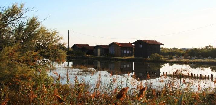 Voyage sur-mesure, Gironde et Landes : entre Littoral, Vignobles et Patrimoine