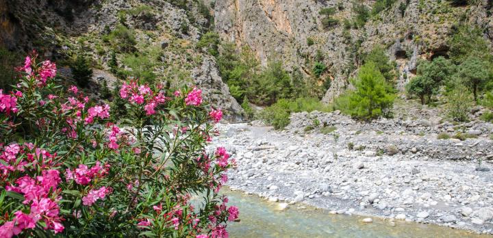 Voyage sur-mesure, La Crète active : Au coeur de la nature, randonnées et kayak