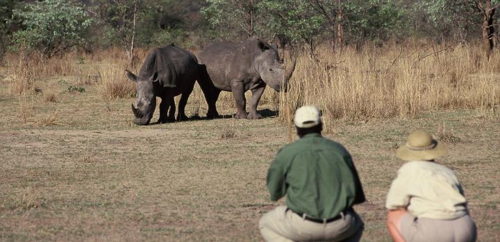 Voyage sur-mesure, Voyage safari de luxe au Zimbabwe