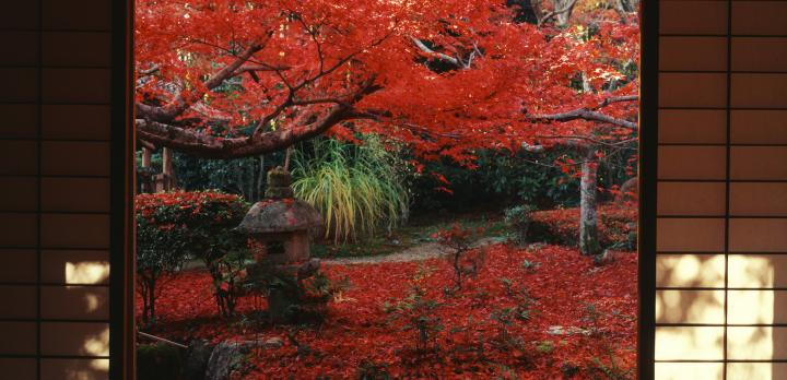 Voyage sur-mesure, Traditions et Randonnée au Japon
