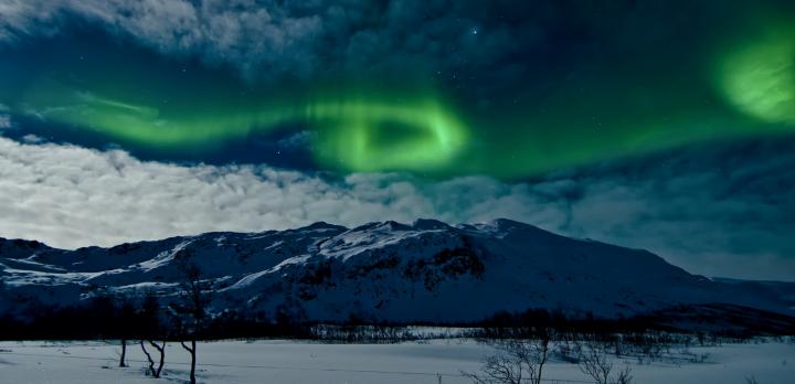 Voyage sur-mesure, Aurores boréales et croisière hivernale dans la Norvège du Nord