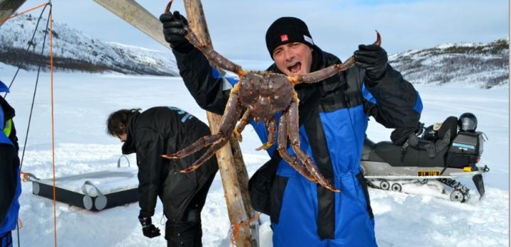 Voyage sur-mesure, Aurores boréales et croisière hivernale dans la Norvège du Nord