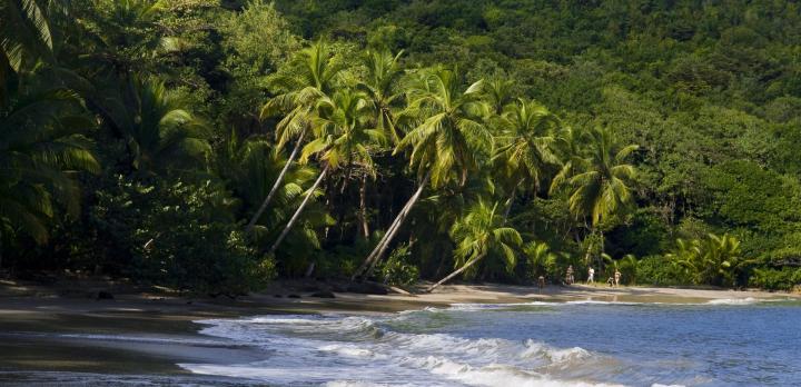 Voyage sur-mesure, Séjour de charme au coeur de la Caraïbe authentique