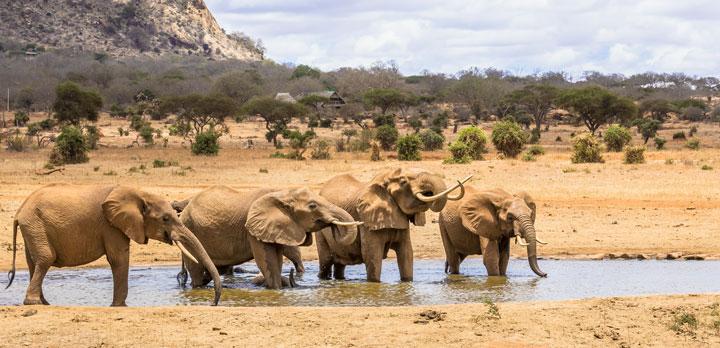 Voyage sur-mesure, Rencontre émotion entre hommes et nature