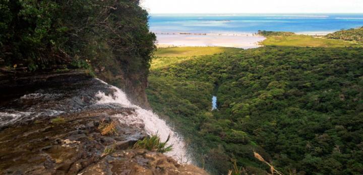 Voyage sur-mesure, Découverte d'Iriomote : kayak, mangrove & snorkelling