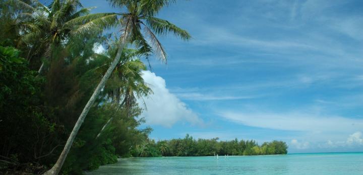 Voyage sur-mesure, Exploration de Tahiti aux Iles Australes