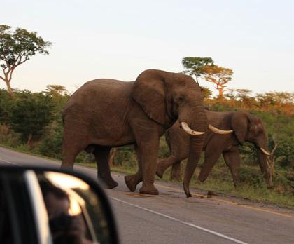 L’Afrique du Sud en voiture de location