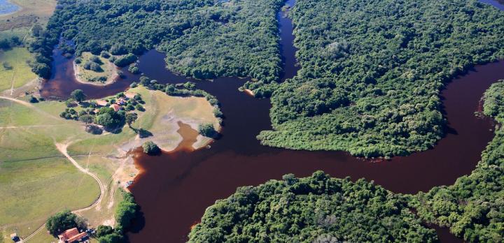 Voyage sur-mesure, Immersion au coeur du Pantanal