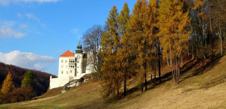 Voyage sur-mesure, Découverte du Sud de la Pologne