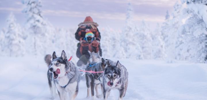 Voyage sur-mesure, La Laponie suédoise en famille: voyage d’hiver à bord du train