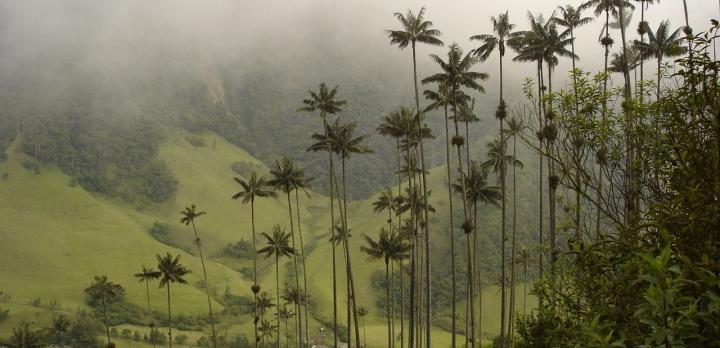 Voyage sur-mesure, L'essentiel de la Colombie