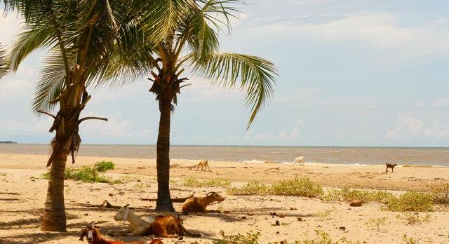 Voyage sur-mesure, La Colombie au naturel