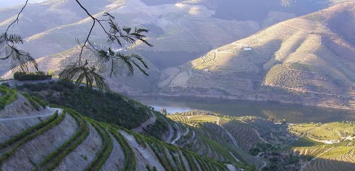 Voyage sur-mesure, Du Douro à l'Alentejo : les incontournables du Portugal