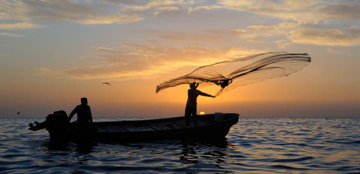 Voyage sur-mesure, A la découverte de l'île presque déserte de Masirah