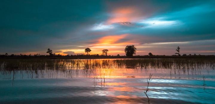 Voyage sur-mesure, Le Tonle Sap, entre nature et population