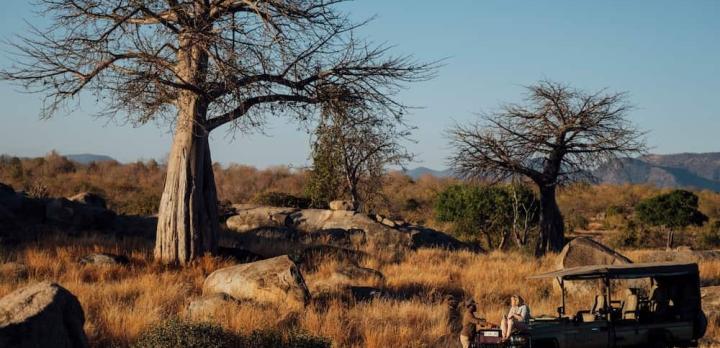 Voyage sur-mesure, L'essentiel des Parcs de Tanzanie du Sud
