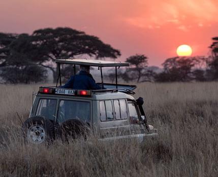 Voyage sur-mesure, Safari de luxe en Tanzanie en avion de brousse