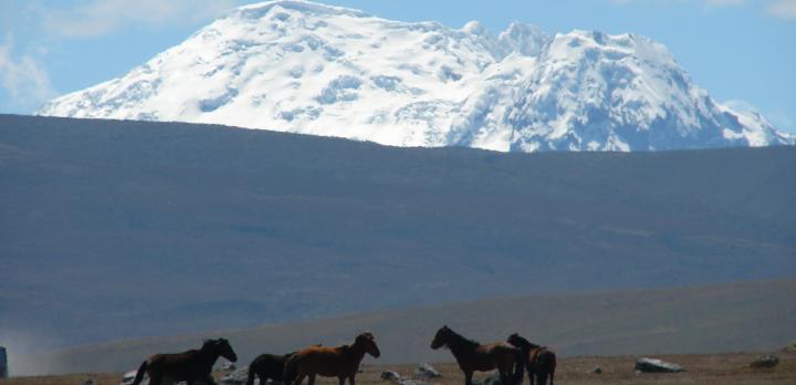 Voyage sur-mesure, Trek en Equateur