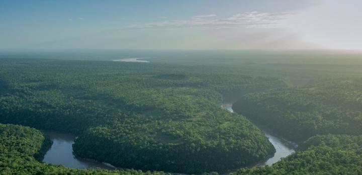 Voyage sur-mesure, L'essentiel des Parcs de Tanzanie du Sud
