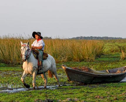 Voyage sur-mesure, 15 jours dans le Nord Est argentin