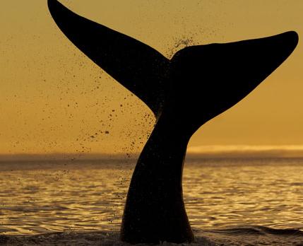 Voyage sur-mesure, L’Argentine au volant – 3 semaines d'exception - Sur les routes mythiques d’Argentine, en toute liberté