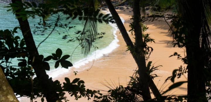 Voyage sur-mesure, Voyage découverte de Sao Tomé & Principe en deux semaines