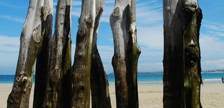 Voyage sur-mesure, Voyage de la Normandie à la Bretagne: LE combiné nature et cultures