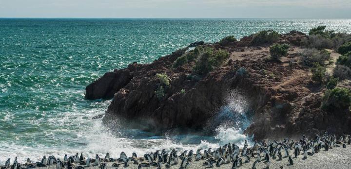 Voyage sur-mesure, L'Argentine en famille