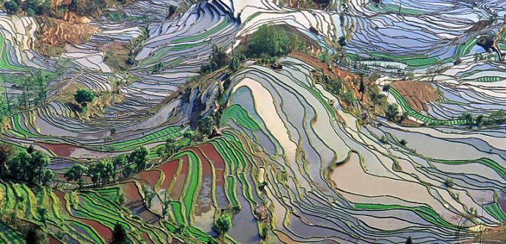 Voyage sur-mesure, rizières et minorités du sud Yunnan